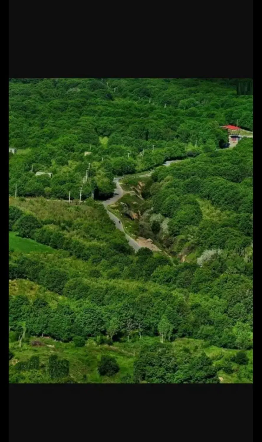 فروش چند قطعه باغ ده بوره