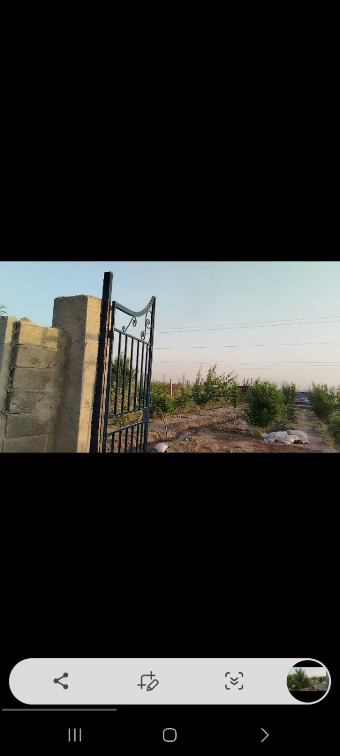 باغچه ۵۰۰متری