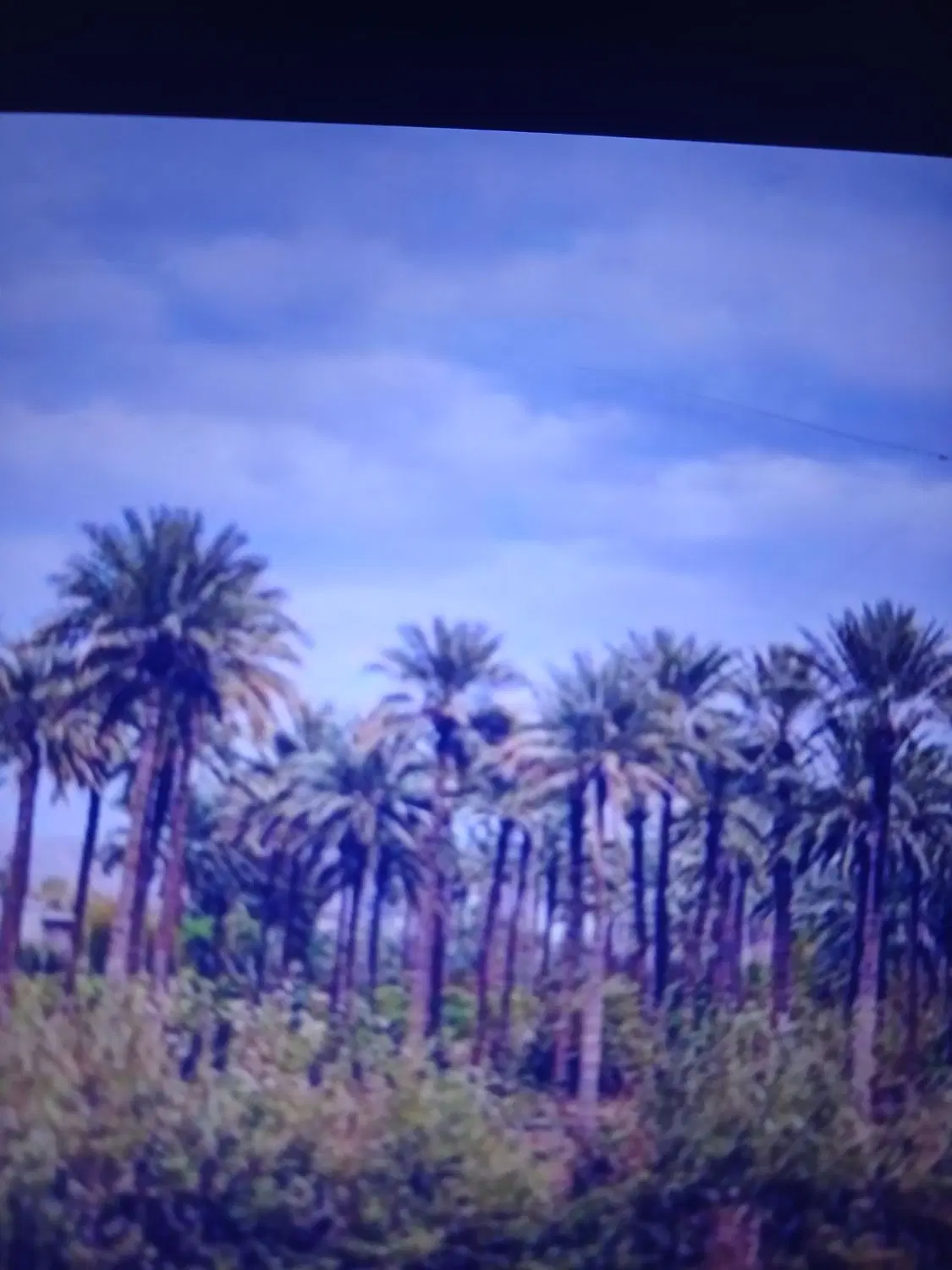 فروش یک قطعیه زمین درروستای مغطیه