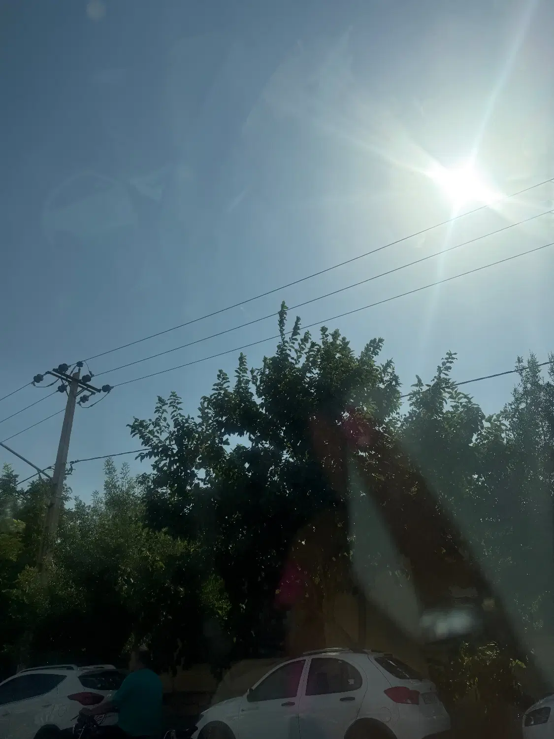 مغازه الکتریکی قانی