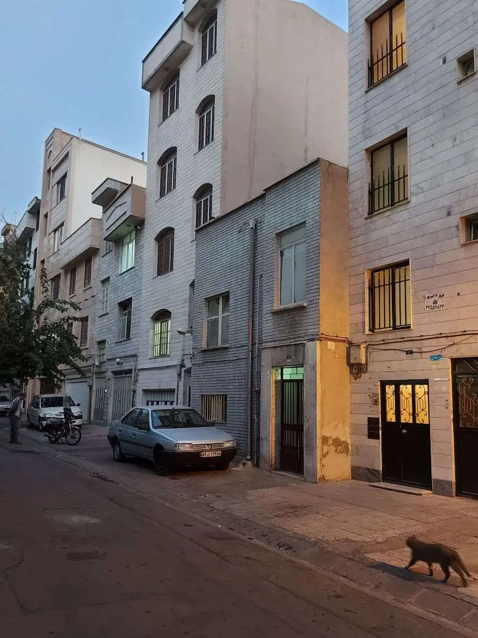 ملک کلنگی ۱۰۰ متری در پیروزی