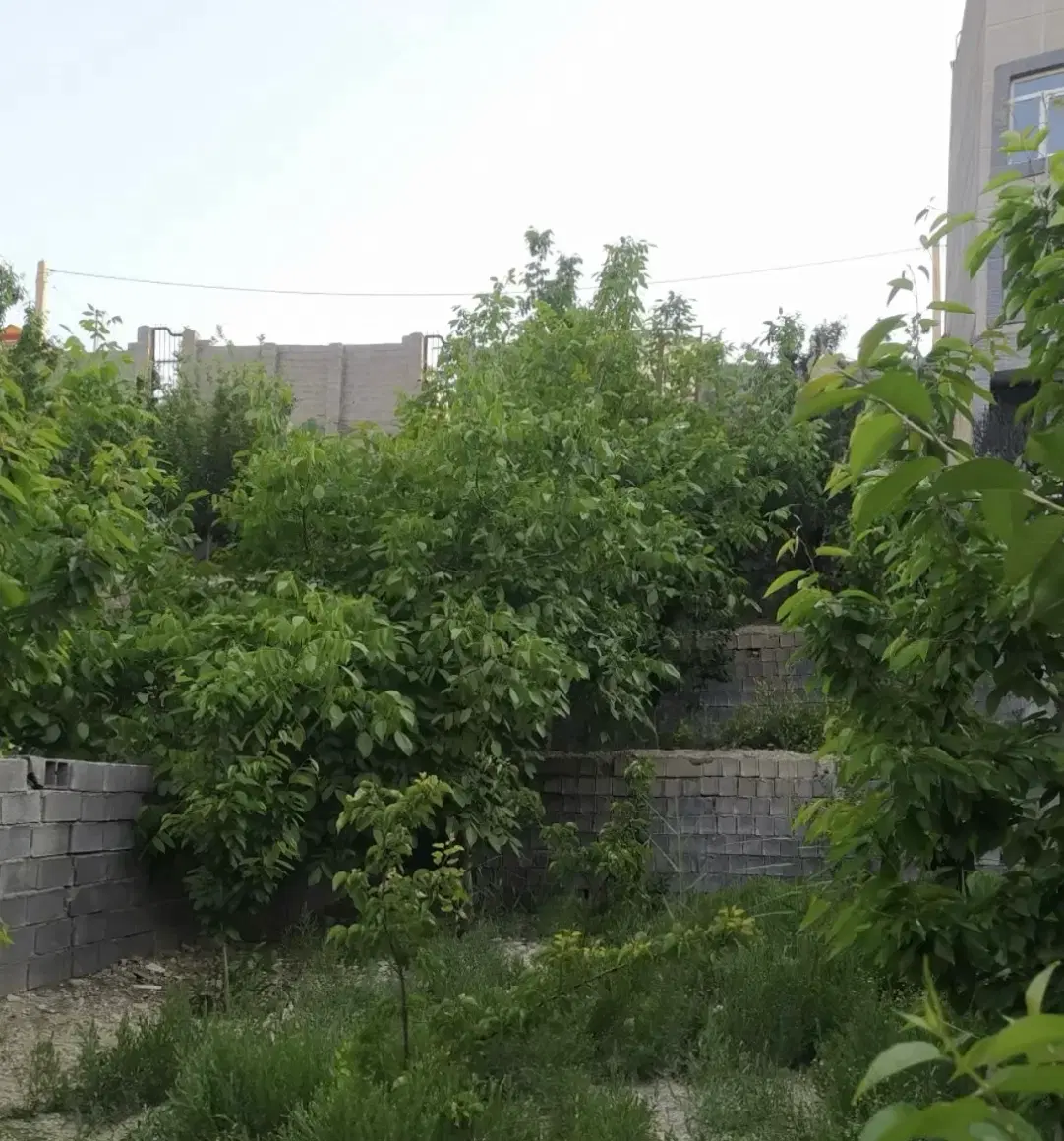 زمین لواسان
