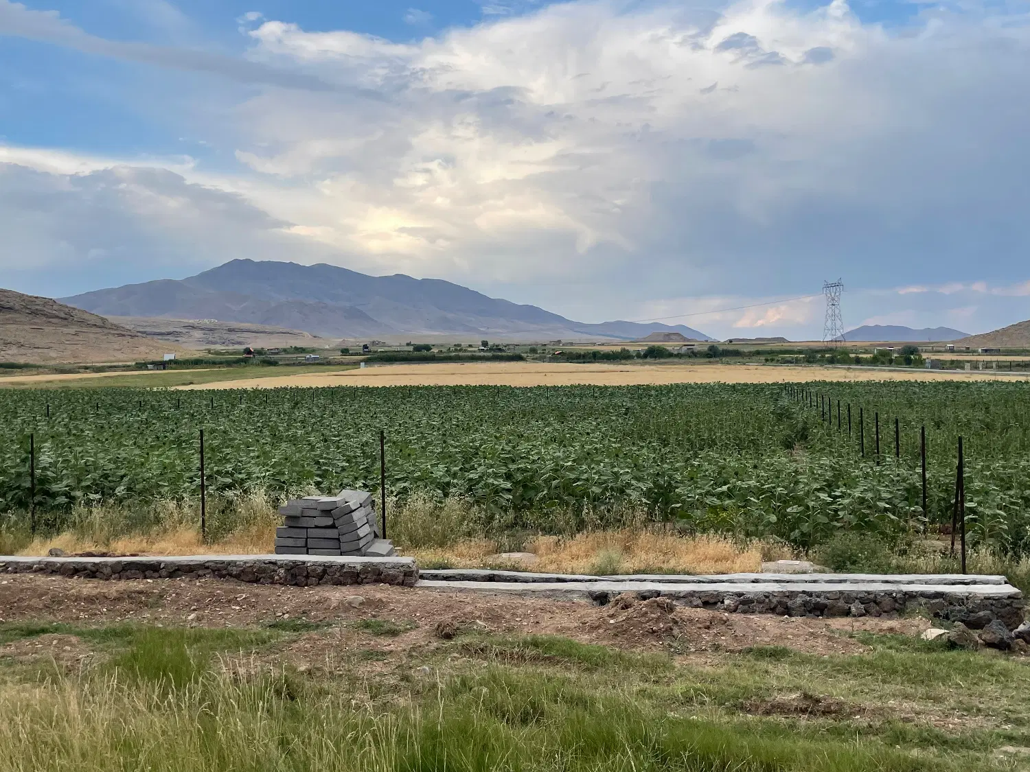 زمین روستای رند