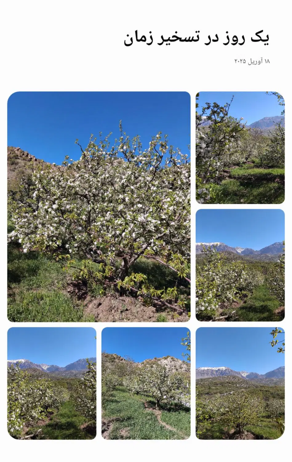 زمین مسکونی