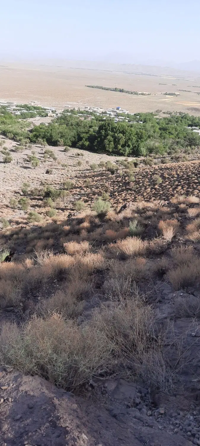 زمین مسکونی مناسب ویلا باغ