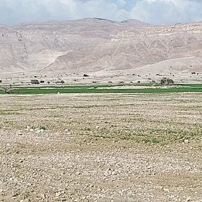 زمین کشاورزی  برتش