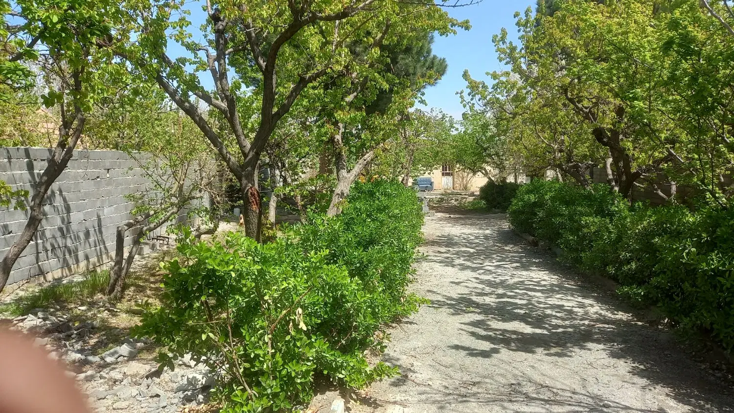 باغ ویلا