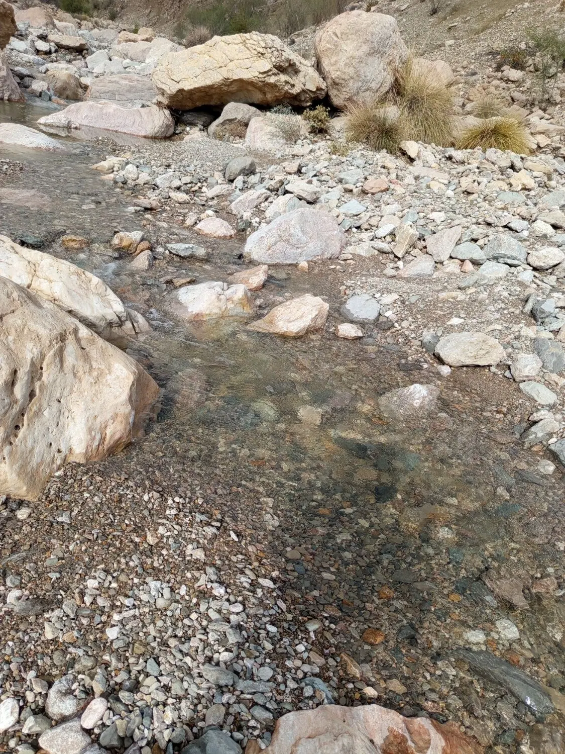 فروش یک باب خانه ویلایی روستای جغان