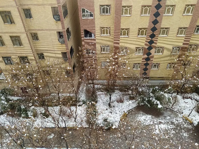 فیش سمندیس(سانیار)