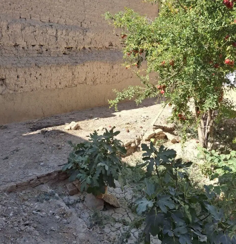 خانه میراثی