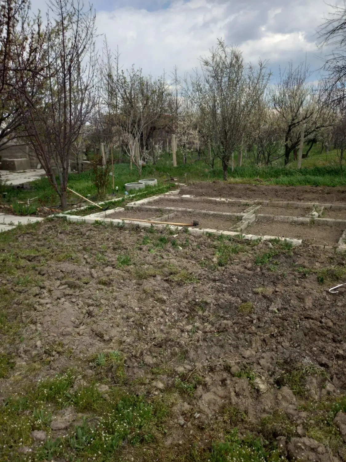 باغ ویلایی