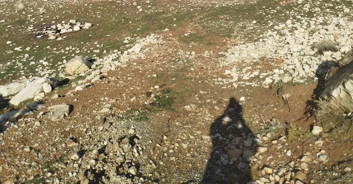 زمین تجاری