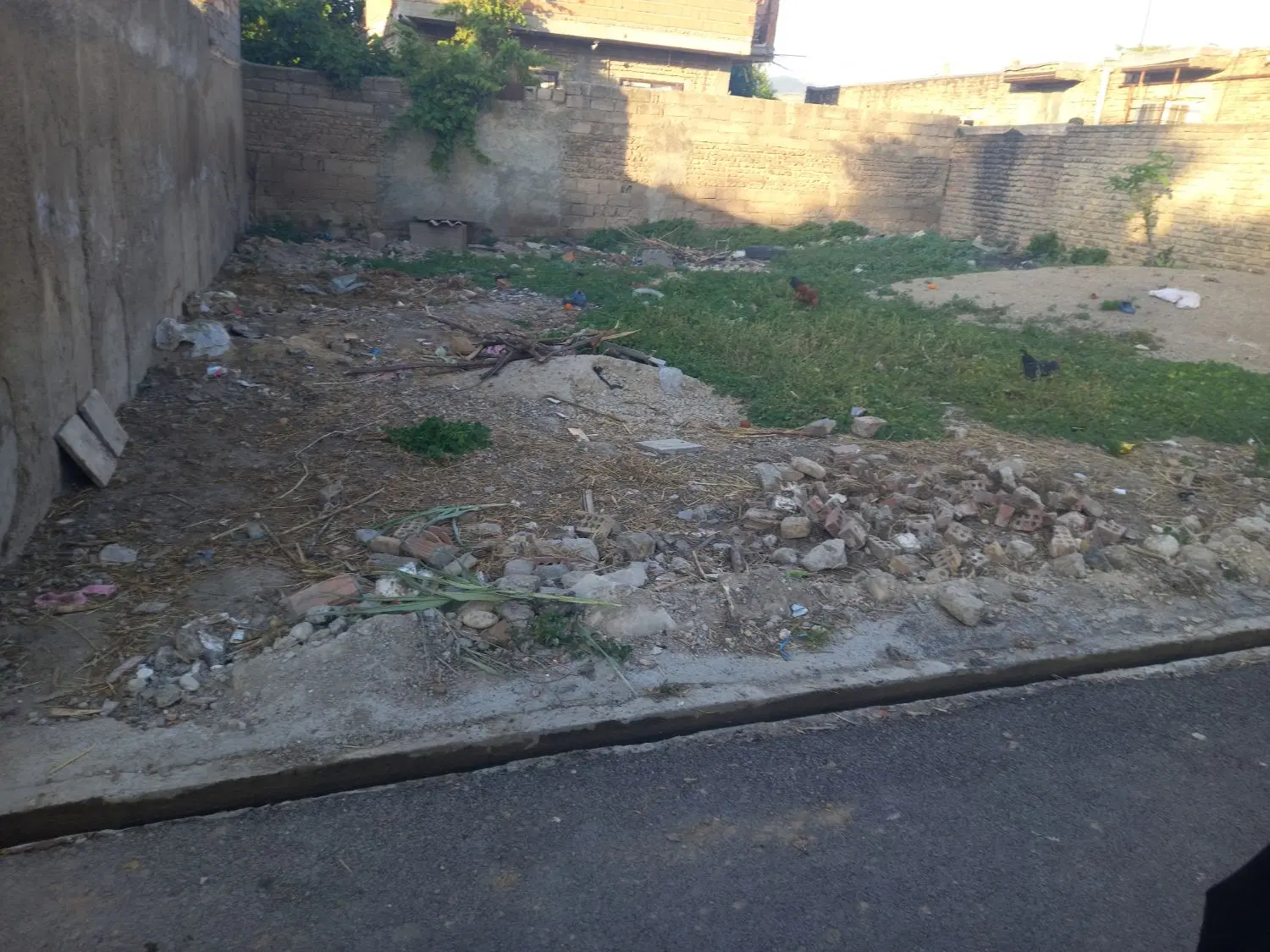 زمین بهشتی ۷