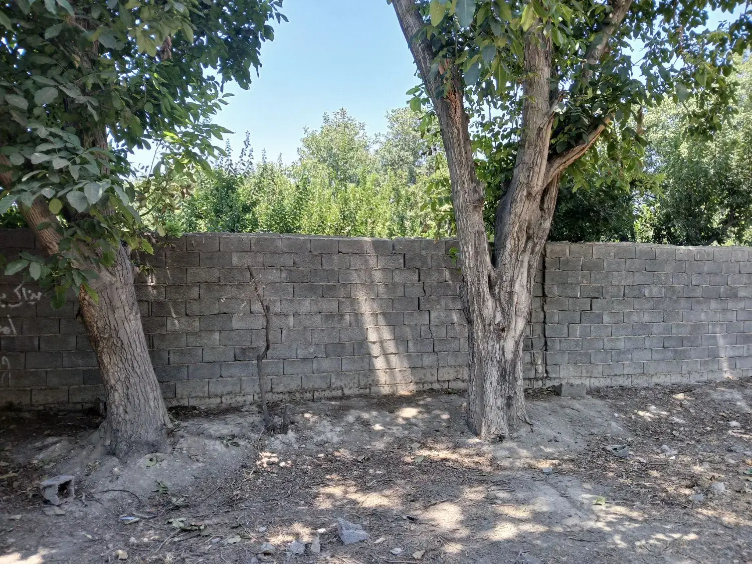 باغ رضی آباد شهریار