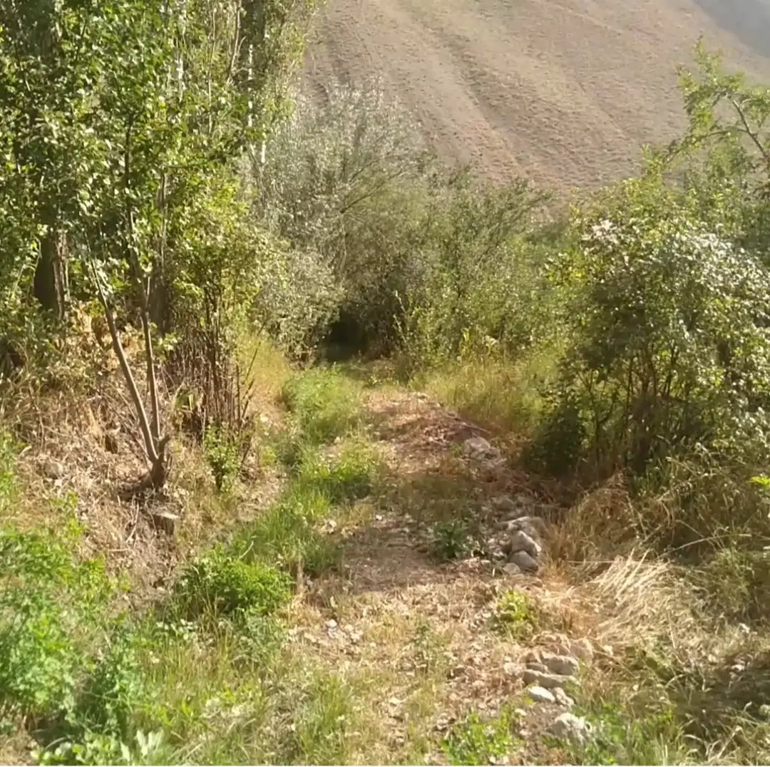 زمین، جاده چالوس