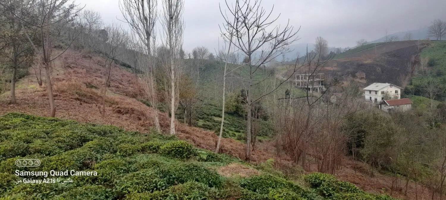 زمین با کاربری باغی درخیابان اصلی چسبیده به مسکونی