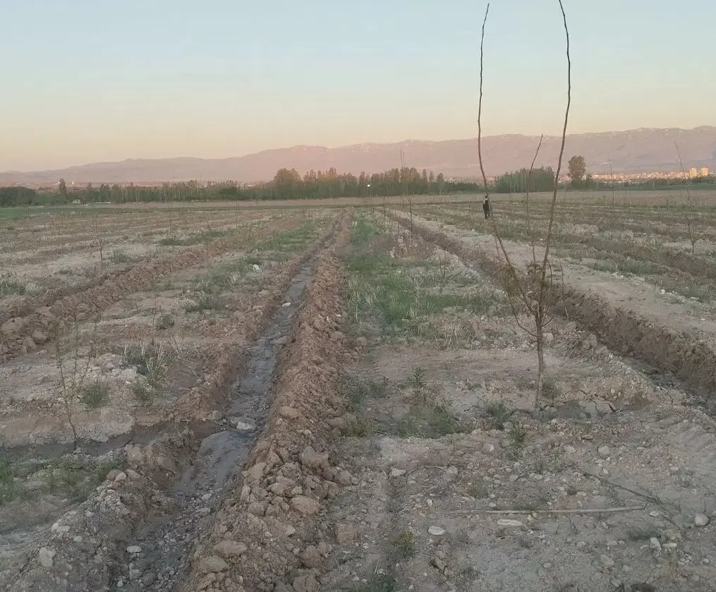 زمین مسکونی