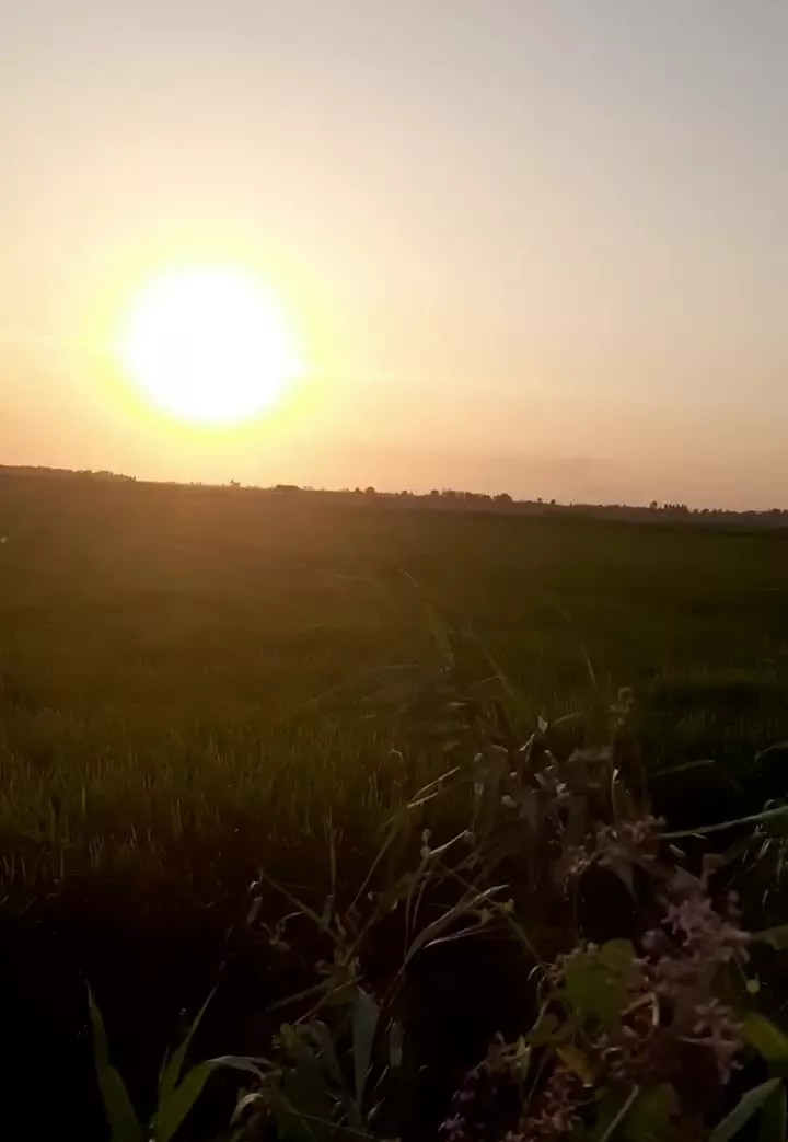 ۱۰۰۰مترزمین مناسب باغ وشالیزار