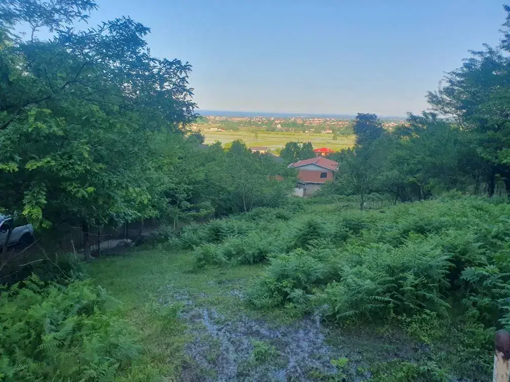 زمین مسکونی اسالم روستای نارنجدول