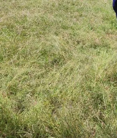 زمین ۱۷۸ متری رشت کوی حسینی