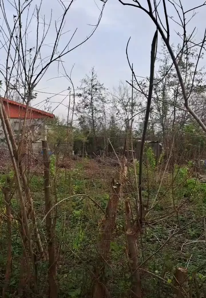 زمین مسکونی