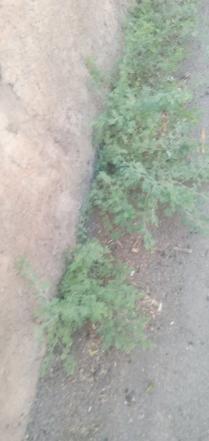 فروش زمین