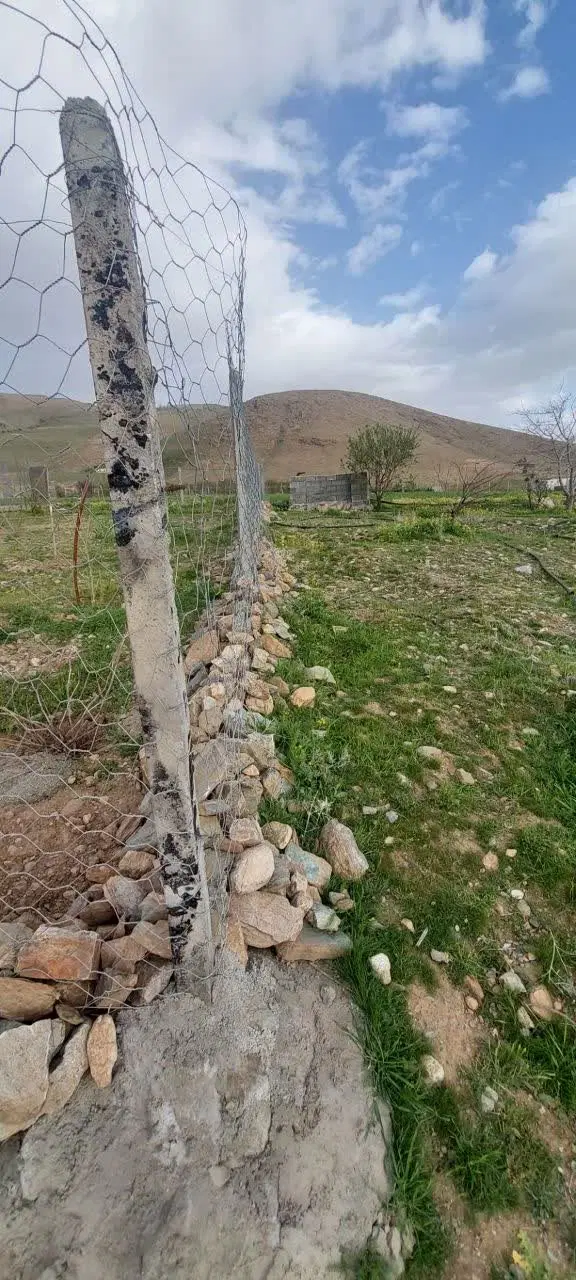 زمین باغ در روستای بابا محمد
