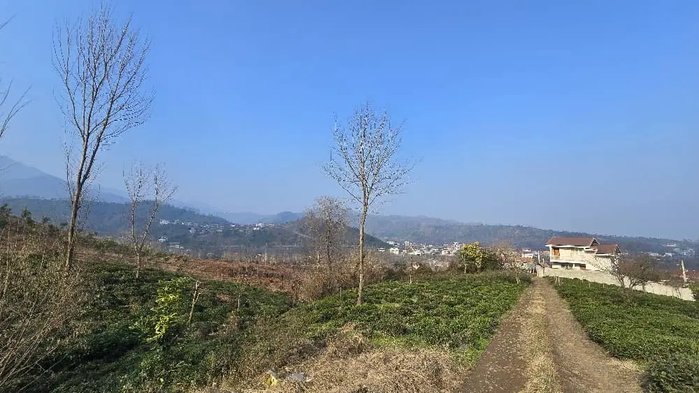 فرصت طلایی برای سرمایه گذاری