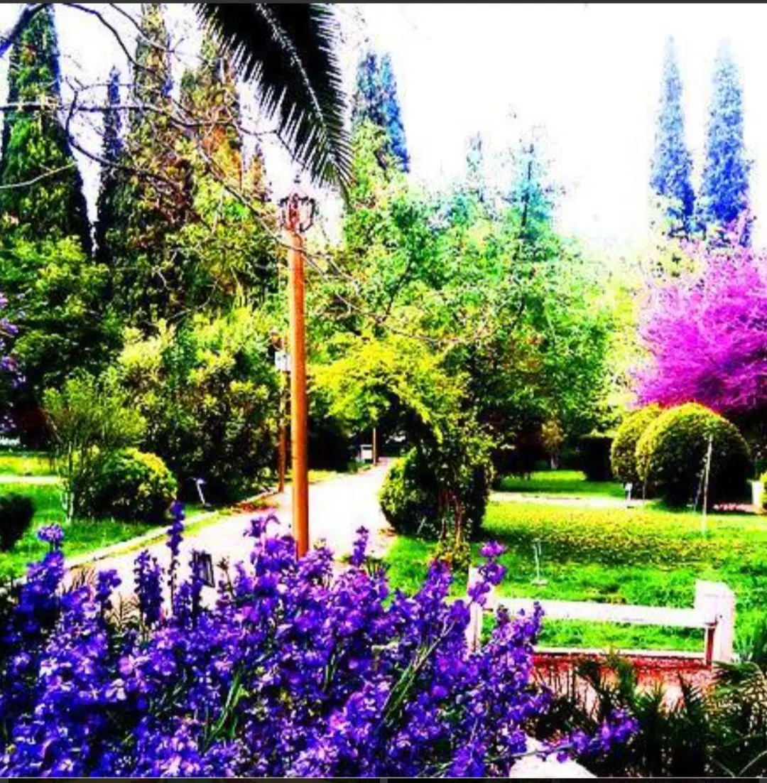 باغ آرنسا