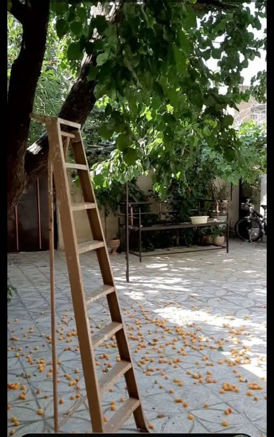 خونه ی ویلایی