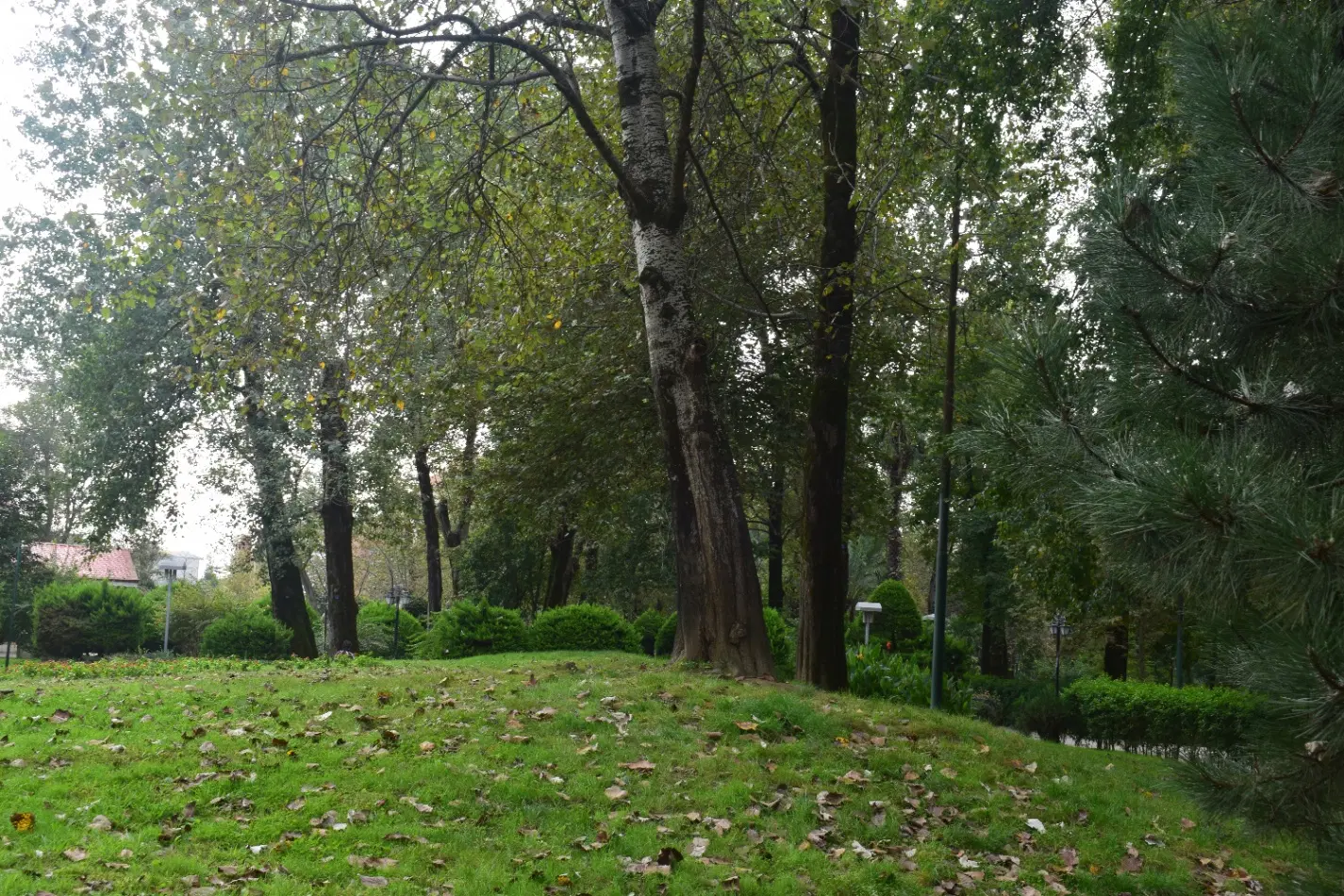 فروش زمین ویلایی