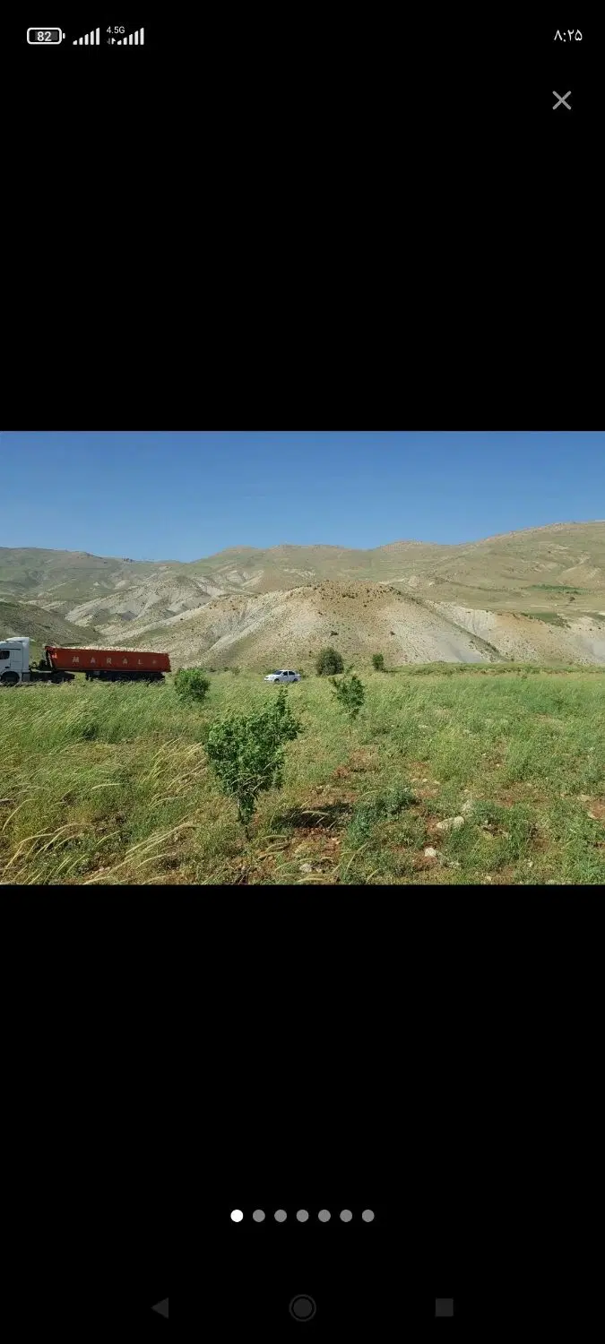 زمین باغی