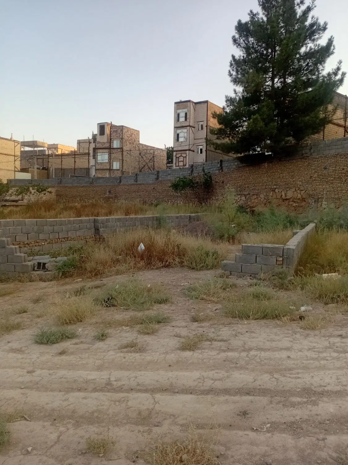 زمین شش دانگ