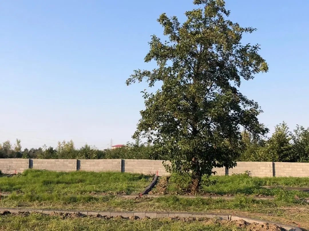 فروش زمین