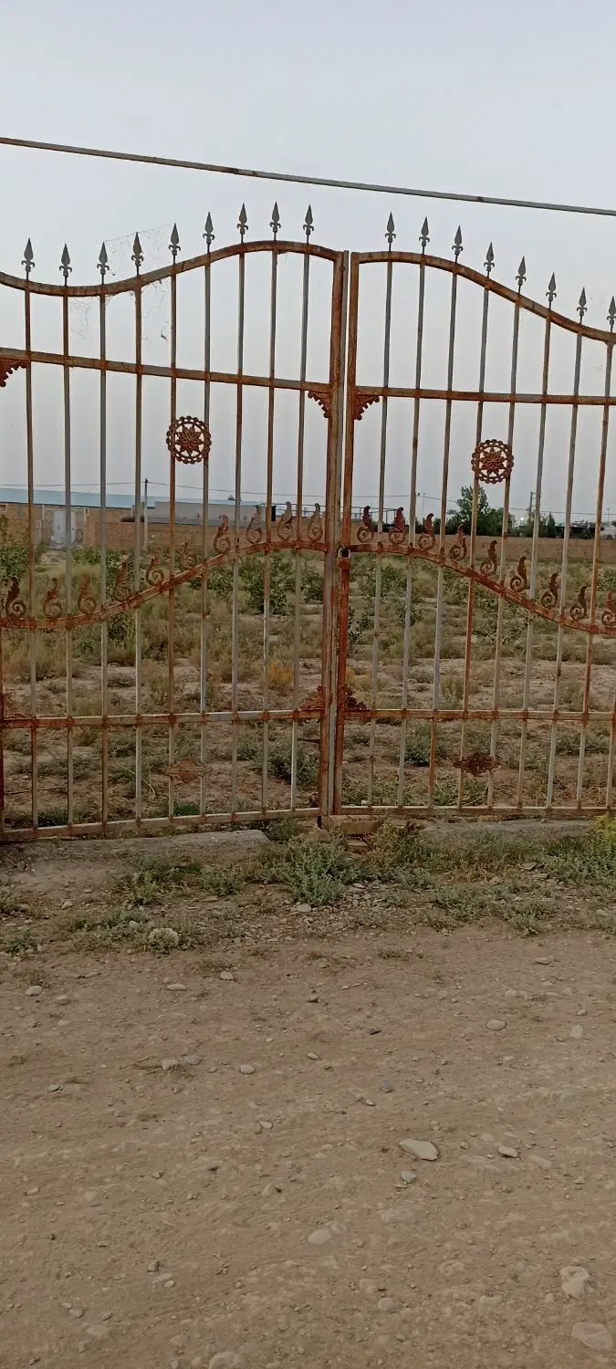 زمین کشاورزی