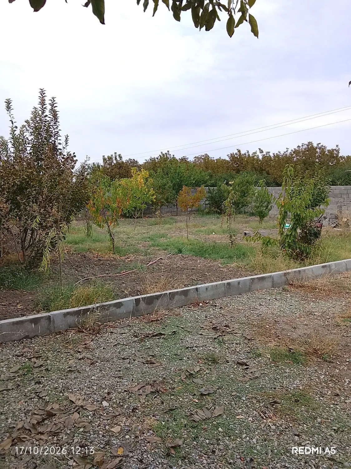 فروش باغ ویلایی
