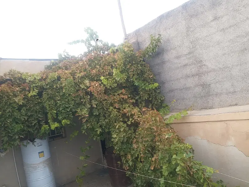 خانه نیاز به بازسازی