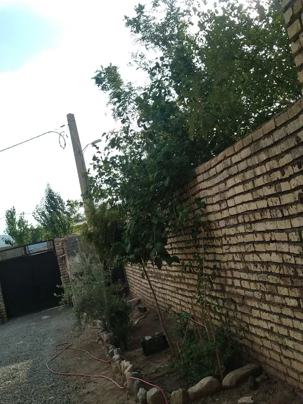 خونه فروشی ومعاوضه ای در روستای حسین آباد میش مست