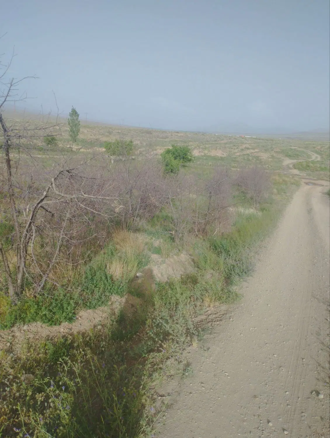 زمین تجاری مسکونی