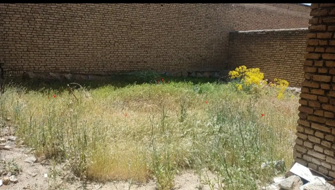 216متر زمین مسکونی