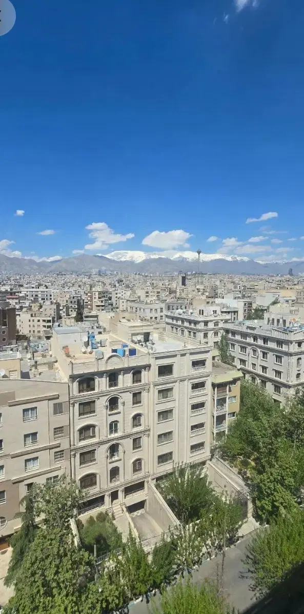 هم خانه متین و اخلاق گرا