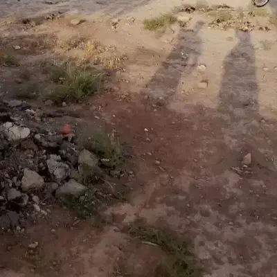 زمین مسکونی ۳۰۰متر شازند حک سفلی