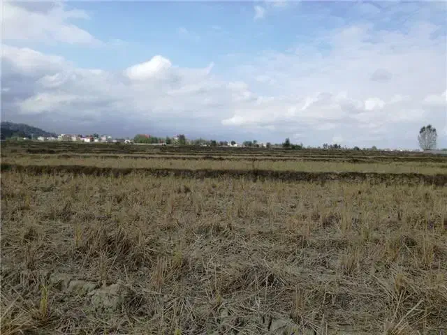 زمین در ابشینه