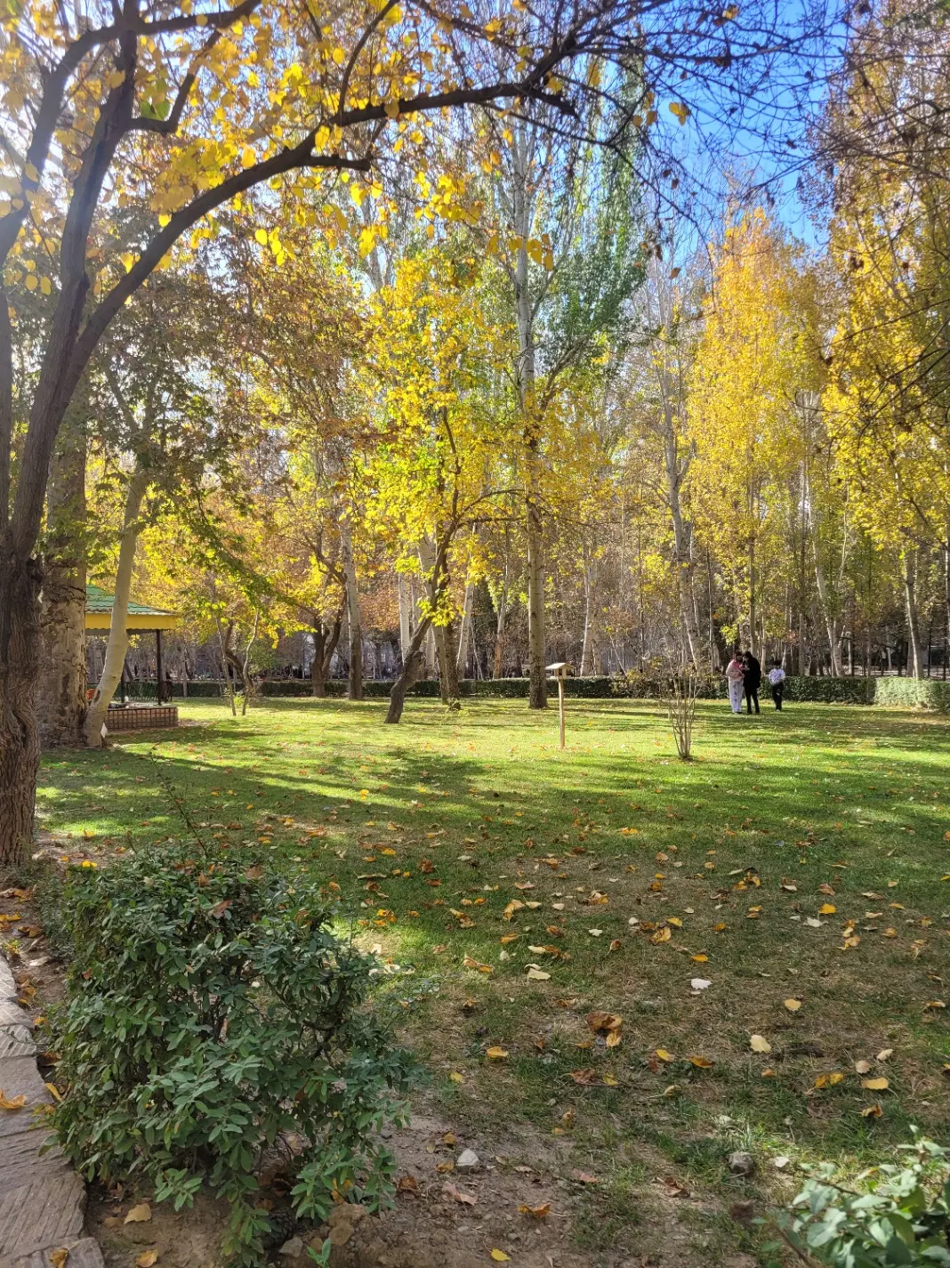 زمین ۲۰۰ متری