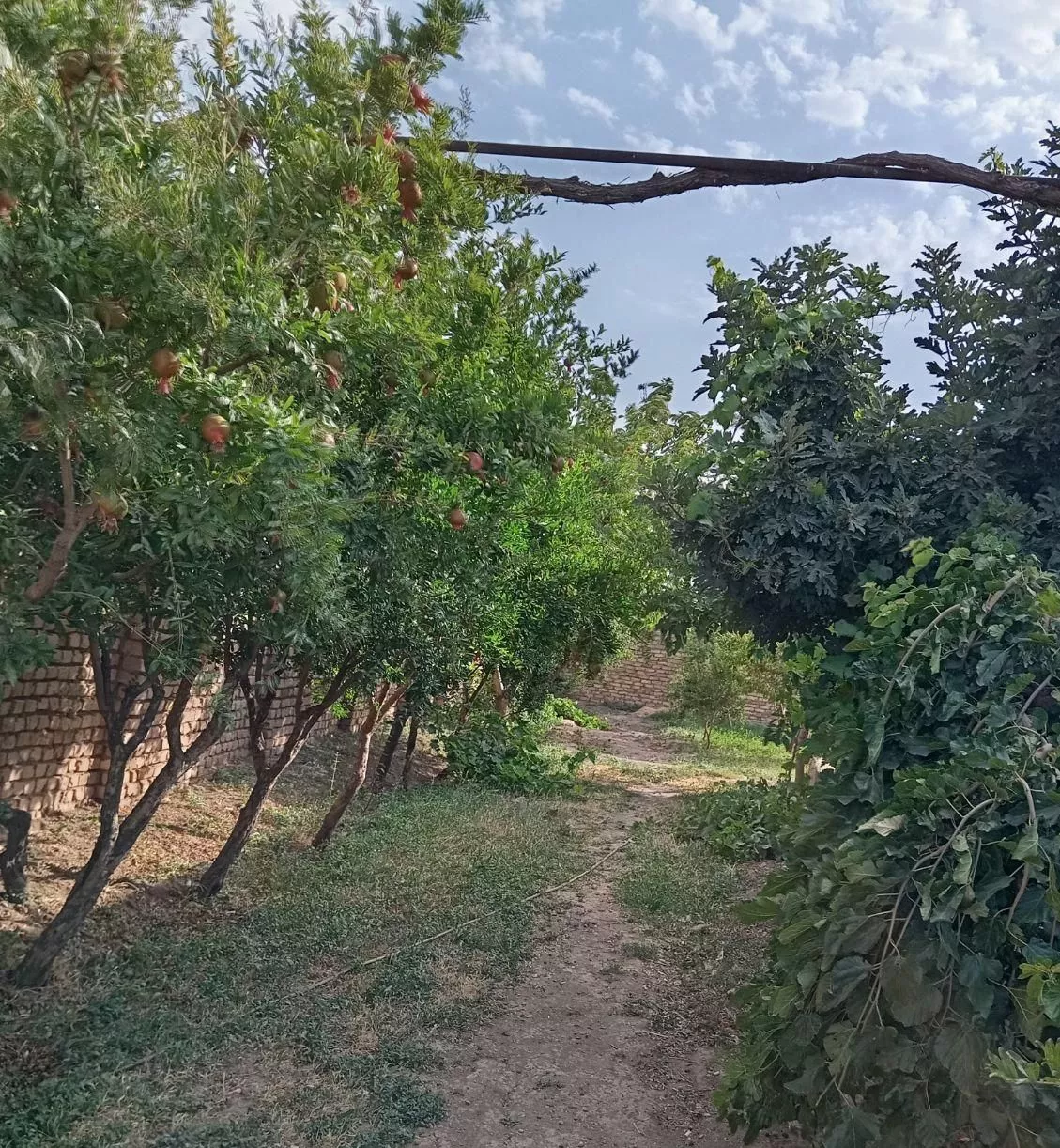 خانه.منزل ویلایی دو نبش.زمین.