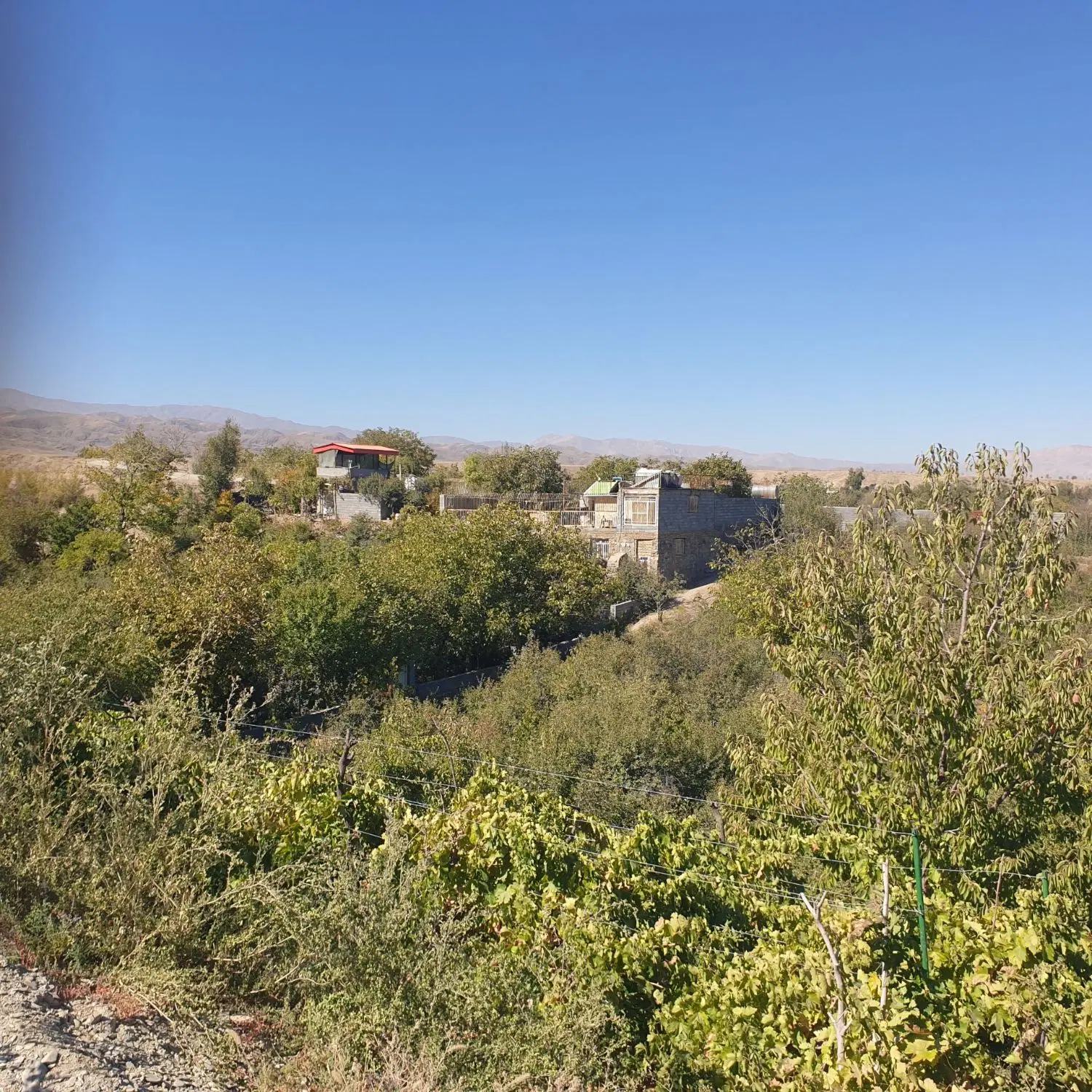 باغ ویلا در گلمکان سرسبز