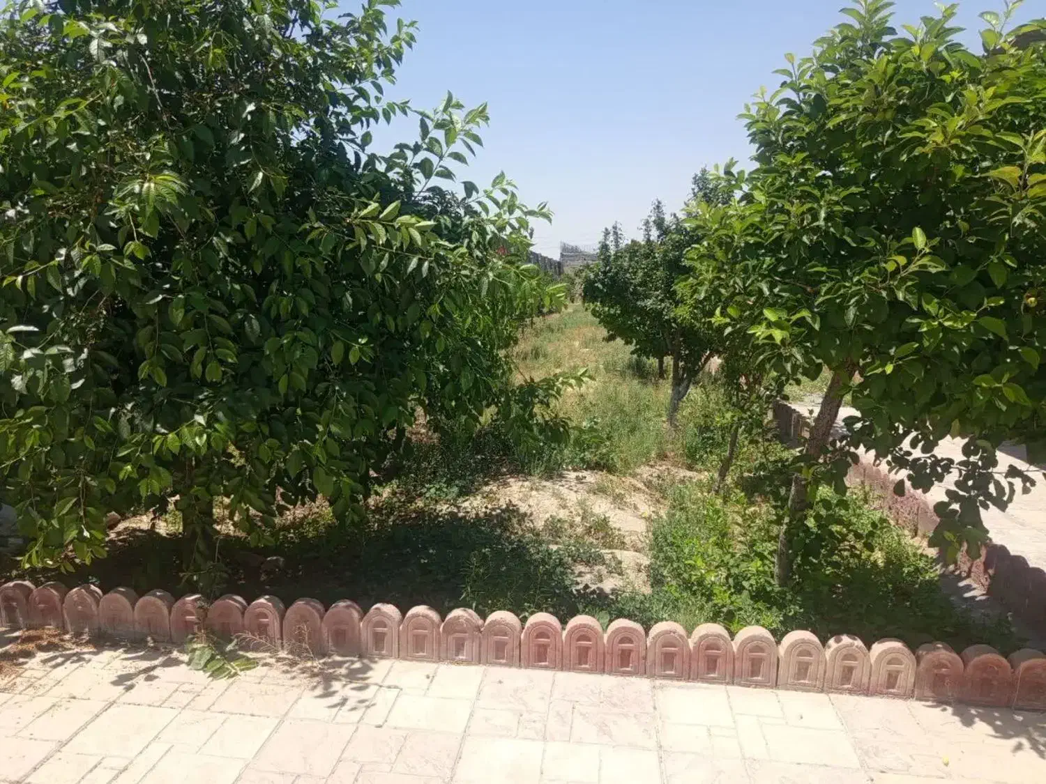 اجاره باغ ویلا مبله صفادشت کهریزک