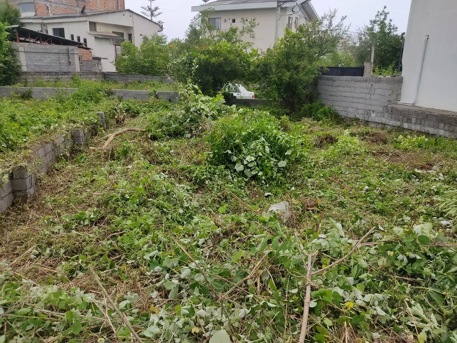 فروش زمین رینگ ۴۵متری