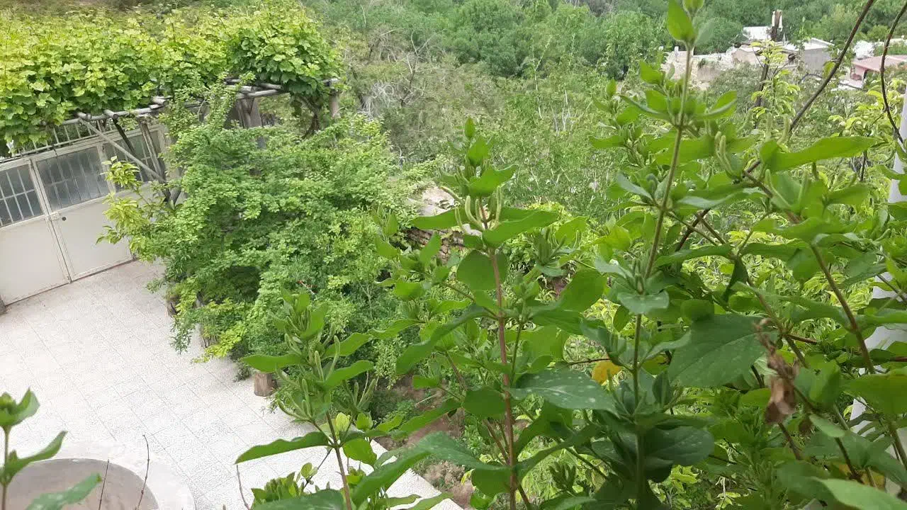خانه باغ و سوئیت در نیاسر کاشان