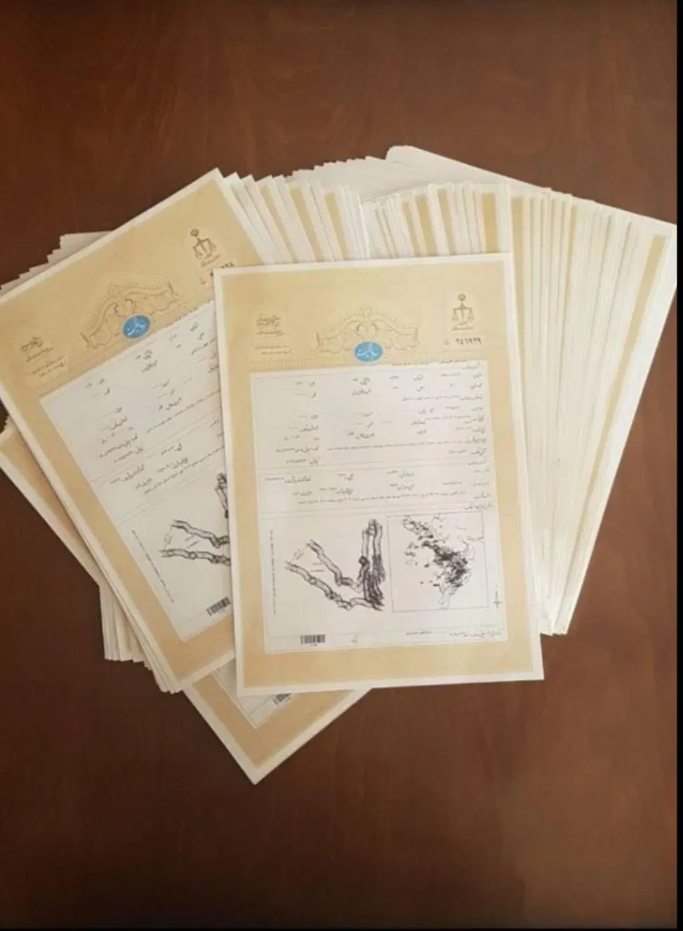 ۲۵۰ متر قیمت کل ۱۵ میلیون
